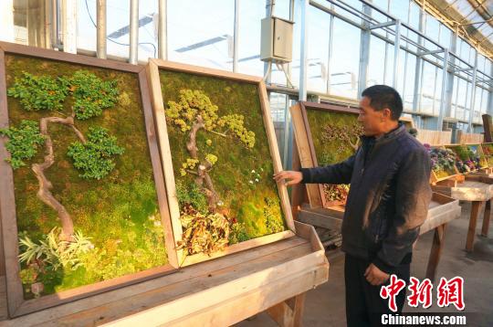 Садовод из Чжэнчжоу создаёт настенные рисунки из растений