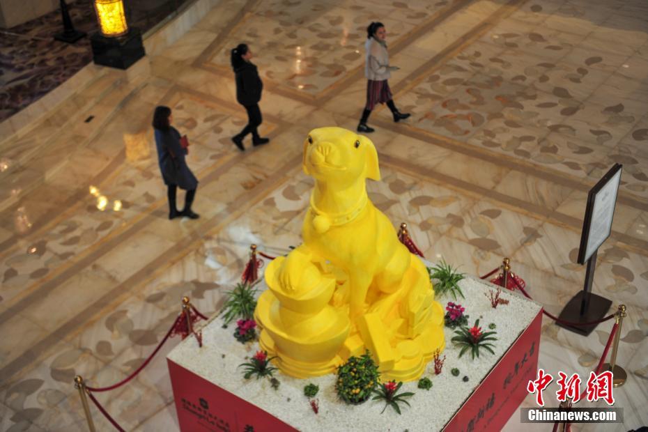 «Золотая» собака появилась в городе Шэньян провинции Ляонин