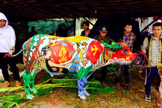 Международный конкурс боди-арта на быках прошёл в уезде Цзянчэн