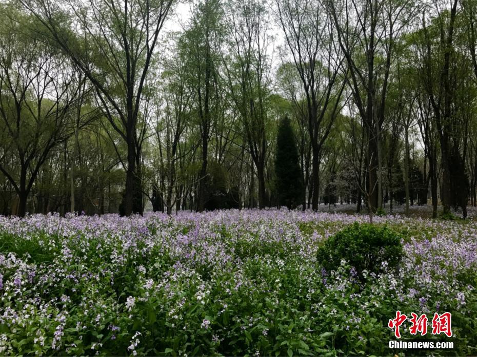 Аэрофотосъемка весеннего пейзажа района Сюнъань