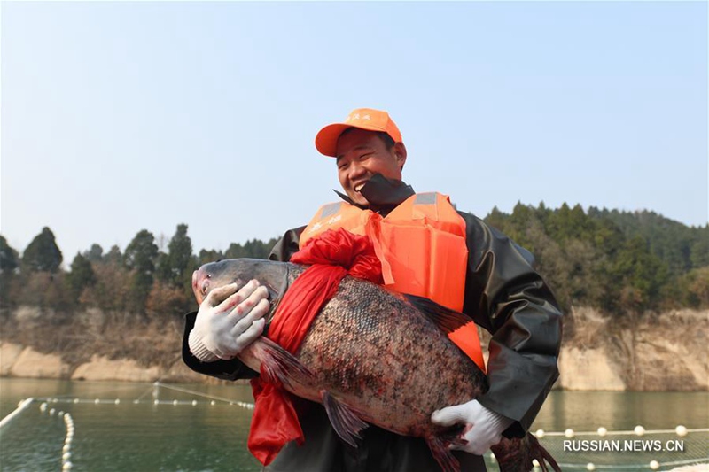 В Гуанъюане открылся культурно-туристический фестиваль ловли экологически чистой рыбы