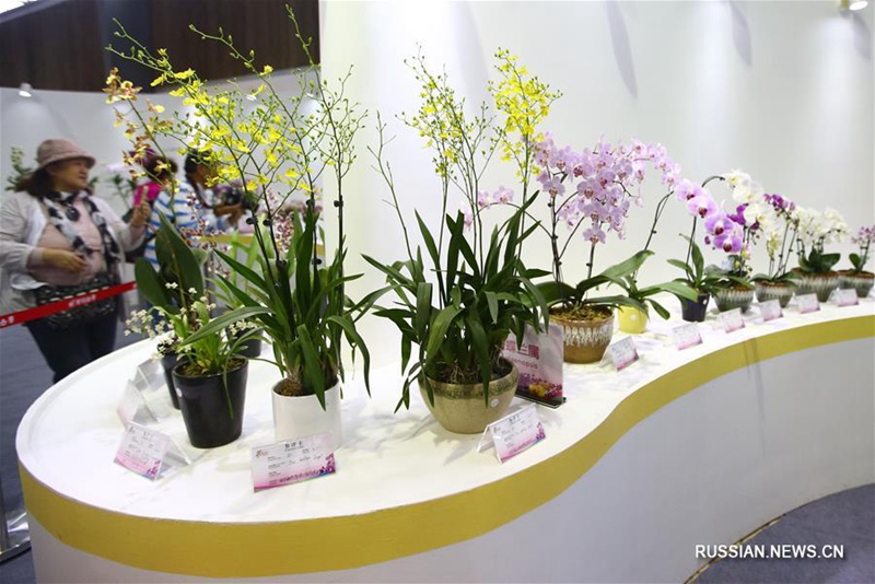 В Санья открылась 12-я Международная выставка тропических орхидей