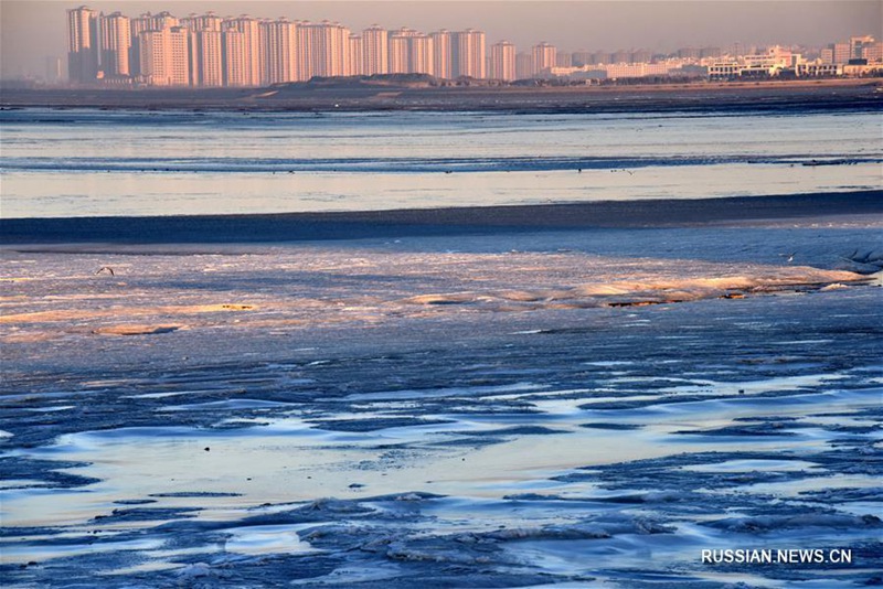Прибрежную акваторию в Циндао сковал лед