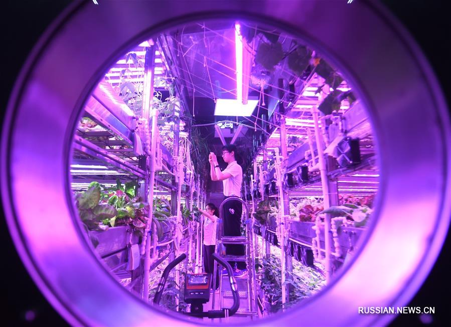 Участники китайского эксперимента "Юэгун-365" установили новый мировой рекорд длительности пребывания в биорегенеративной системе жизнеобеспечения