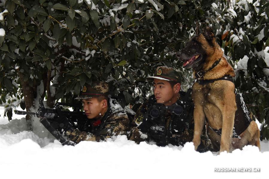 "Волшебный пес и чудесный воин" вооруженной полиции Аньхоя