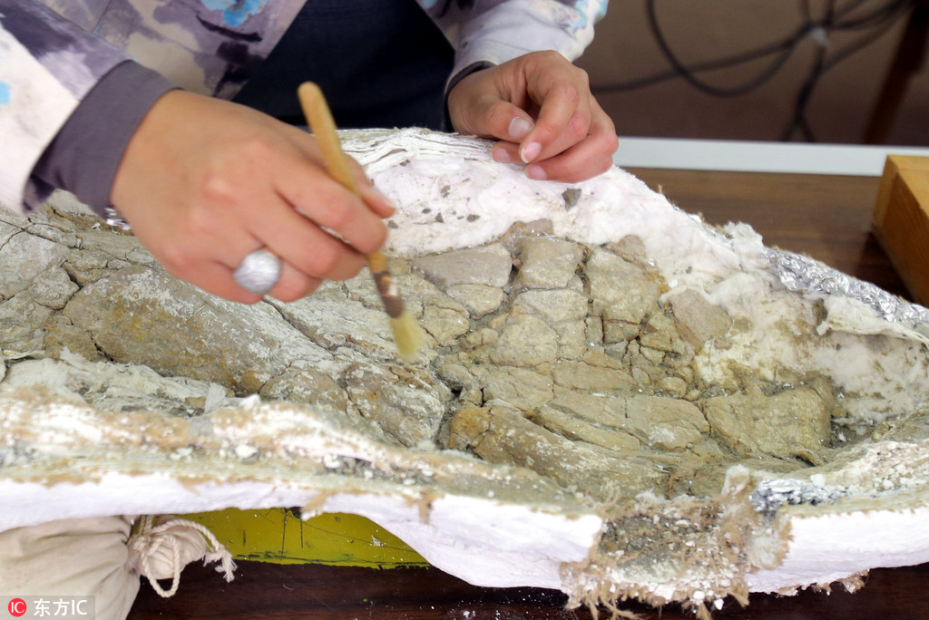 В Египте обнаружены останки динозавра возрастом 80 млн лет 