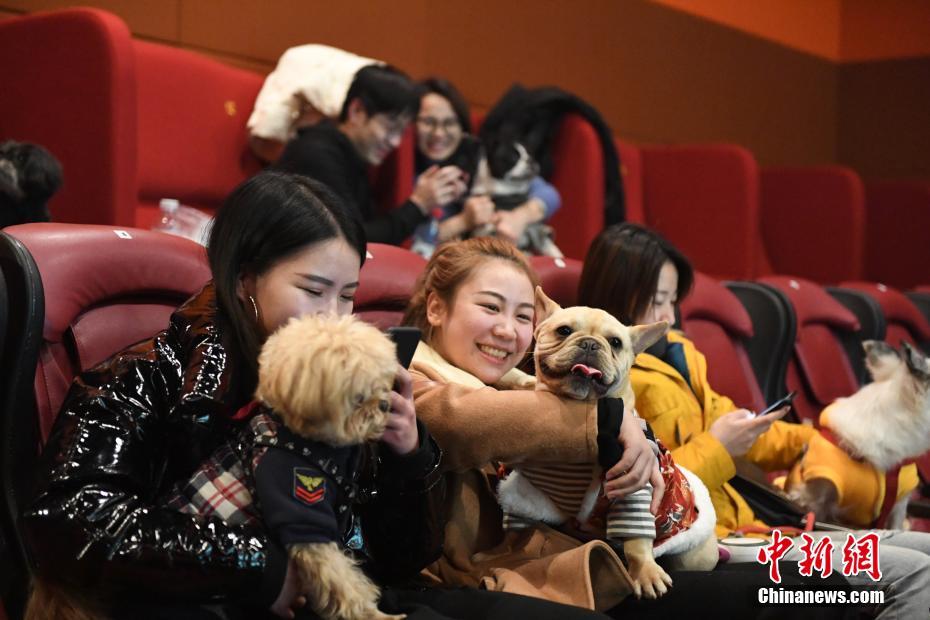 Для встречи года Собаки кинотеатр в Ханчжоу пригласил посетителей с их домашними питомцами на просмотр фильмов