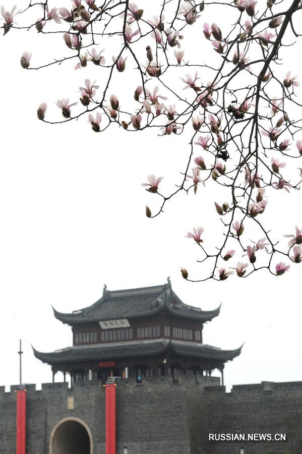 В Китай пришла весна