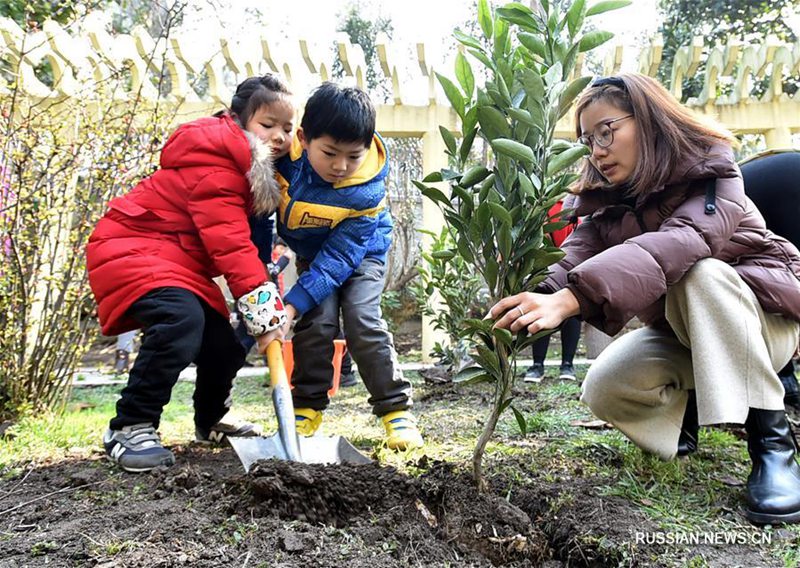 В Китае взрослые и дети сажают деревья