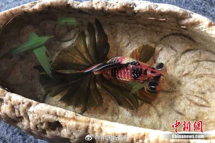 Китайский художник рисует «живые» рыбки в смоле