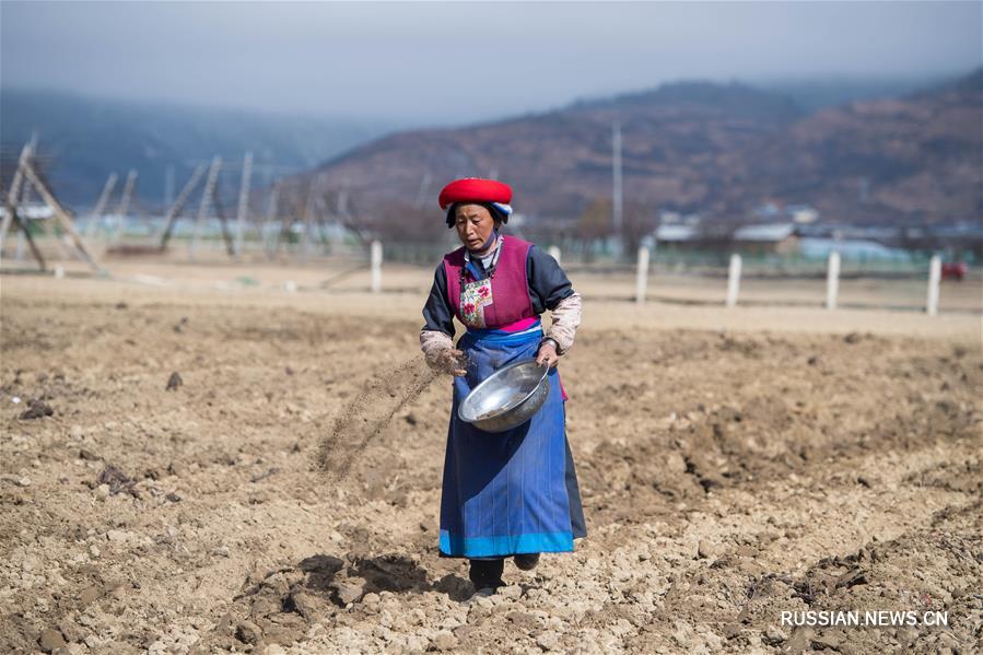 Весенние работы на сельскохозяйственных угодьях в провинции Юньнань