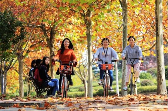 С городе Сянъян провинции Хубэй студенты катаются на велосипедах общего пользования. Источник фото: Ян Дун «Жэньминь шицзюэ»