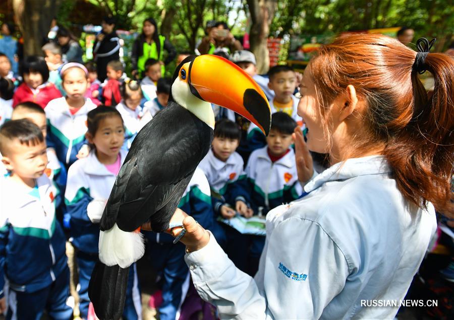 В Гуанчжоу проходит "Неделя заботы о птицах"