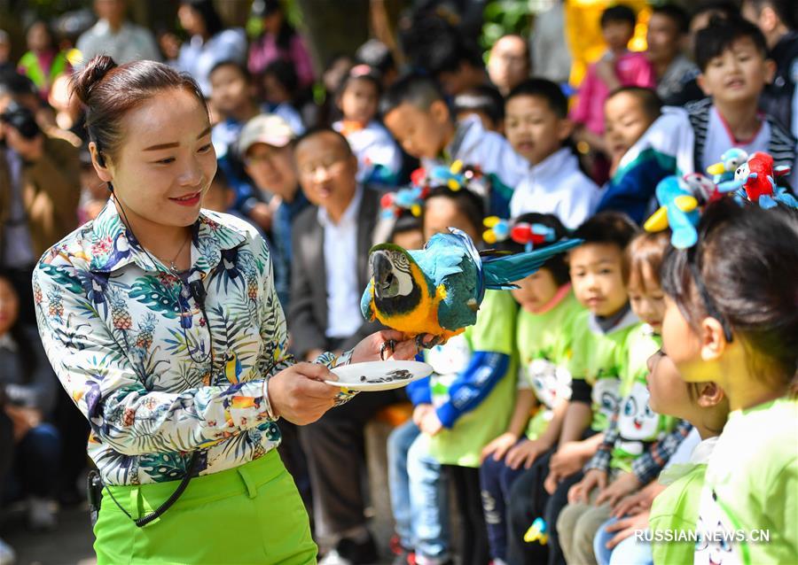 В Гуанчжоу проходит "Неделя заботы о птицах"