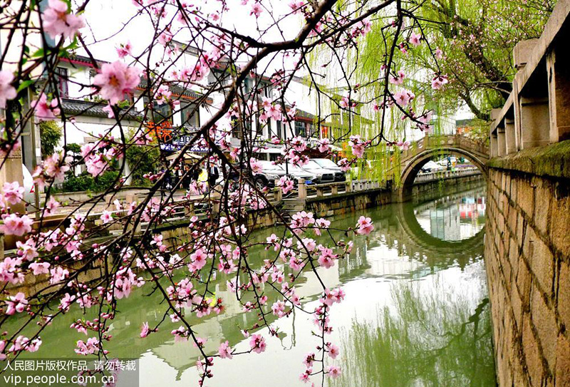 Живописные весенние пейзажи города Сучжоу