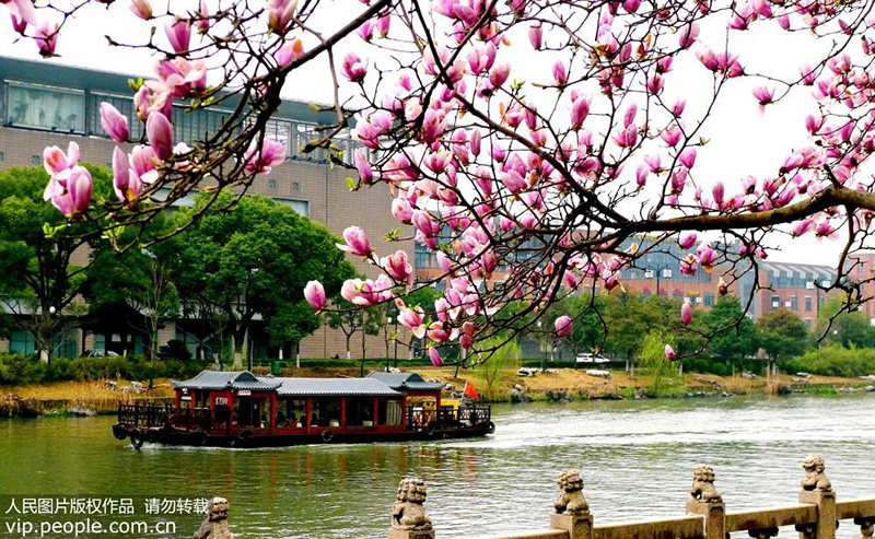 Живописные весенние пейзажи города Сучжоу