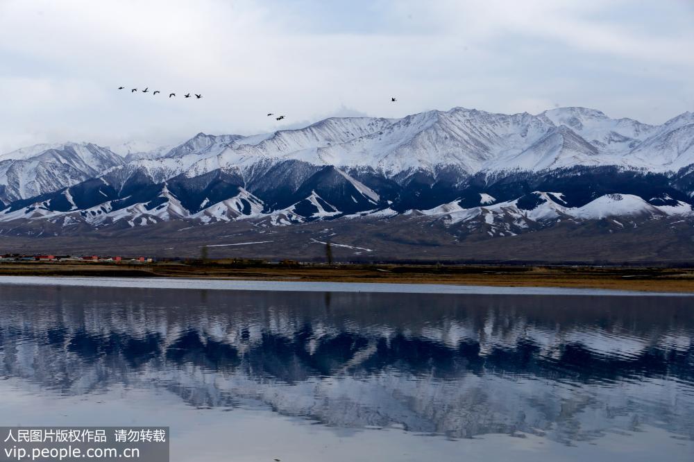 Парк водно-болотных угодий Гаоцзяху в Синьцзяне – рай для птиц