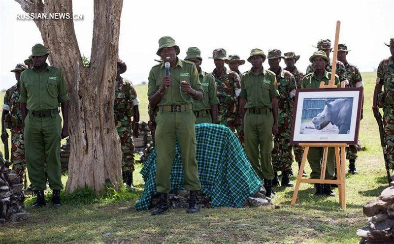 Кения организовала мероприятие по случаю гибели последнего в мире самца северного белого носорога