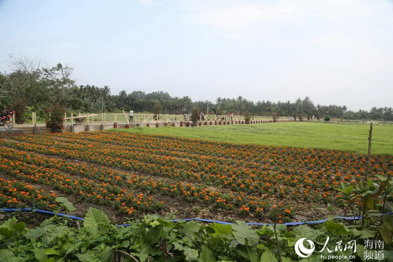 В поселке Боао города Цюнхай создают красивые деревни, чтобы крестьяне наслаждались общим использованием достижений развития