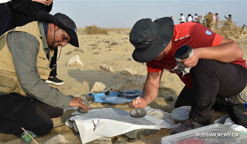 Китайские и арабские археологи обнаружили в Саудовской Аравии осколки древнего китайского фарфора