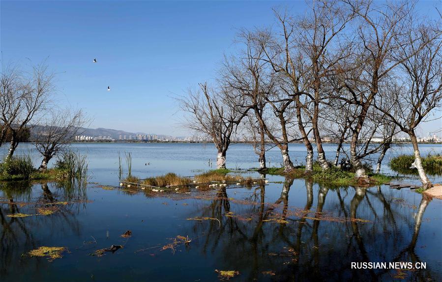 Провинция Юньнань создает "зеленый щит" для сохранения экологии при развитии экономического пояса реки Янцзы