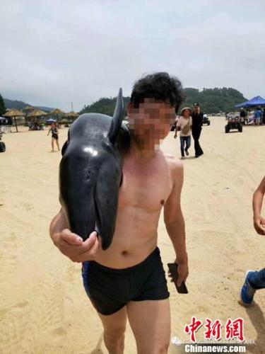 Забравший с пляжа тело мертвого кита турист будет наказан