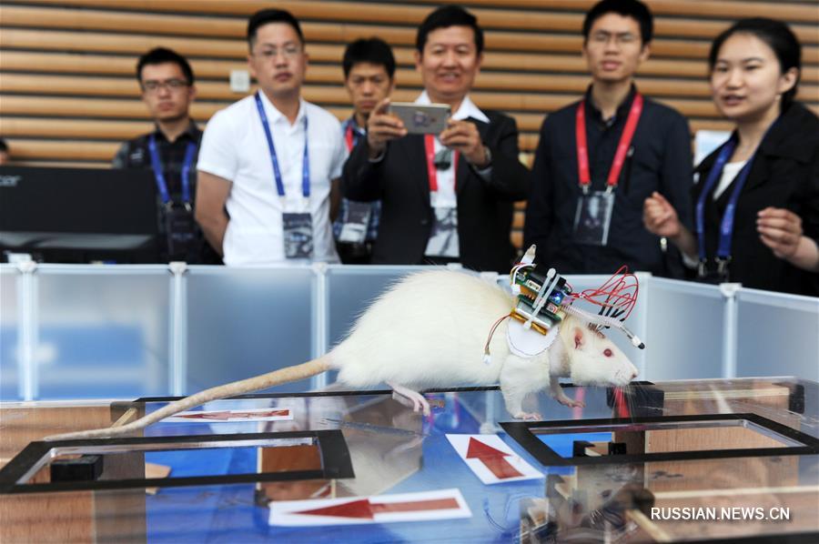 5-й Китайский саммит по робототехнике прошел в провинции Чжэцзян