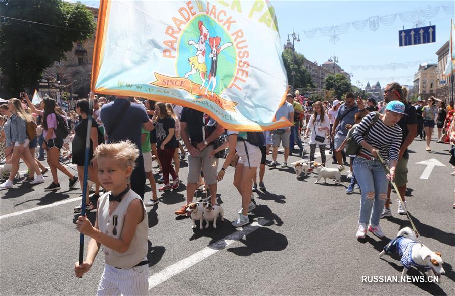 В Киеве прошел 2-й парад джек-рассел-терьеров и парсон-рассел-терьеров