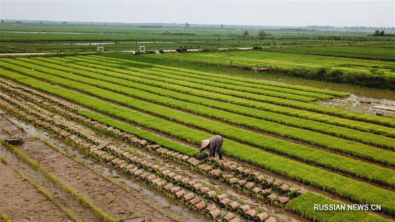 В городском уезде Цзюйжун готовят "нянь для сельскохозяйственных полей"