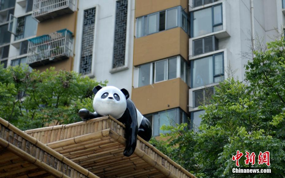 В Чэнду открылась «Дорога панд»