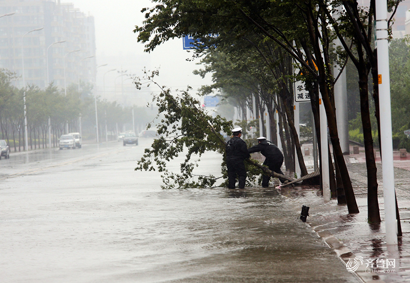 В провинции Шаньдун от тайфуна "Ампил" пострадали 260 тыс. человек и 31,6 тыс. га сельхозугодий
