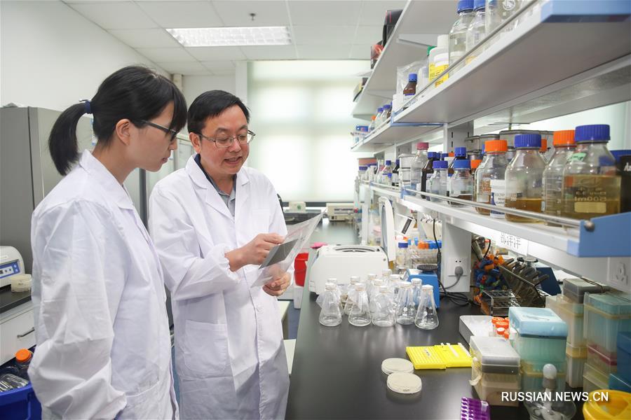 Китайские ученые впервые в мире создали моносомные эукариотные клетки