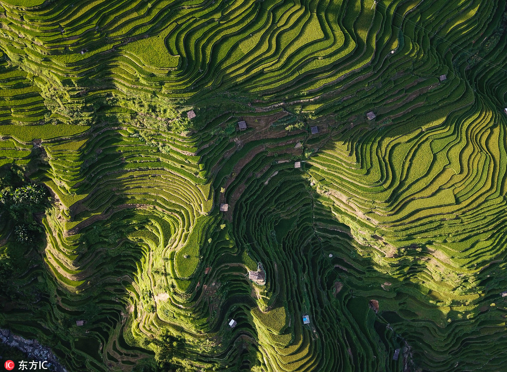 Пейзаж террасированных полей провинции Гуйчжоу с высоты птичьего полета