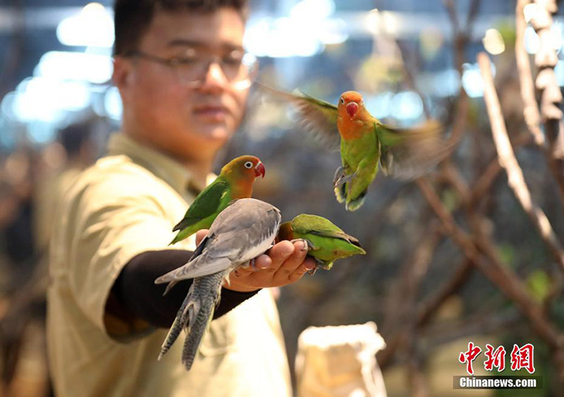 Милые животные в городе Чанчжоу провинции Цзянсу