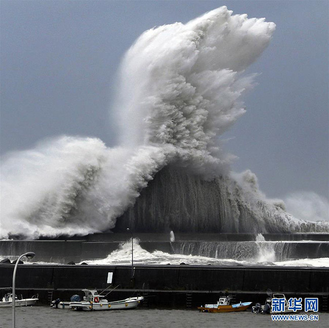 В результате тайфуна Джеби в Японии погибли 11 человек