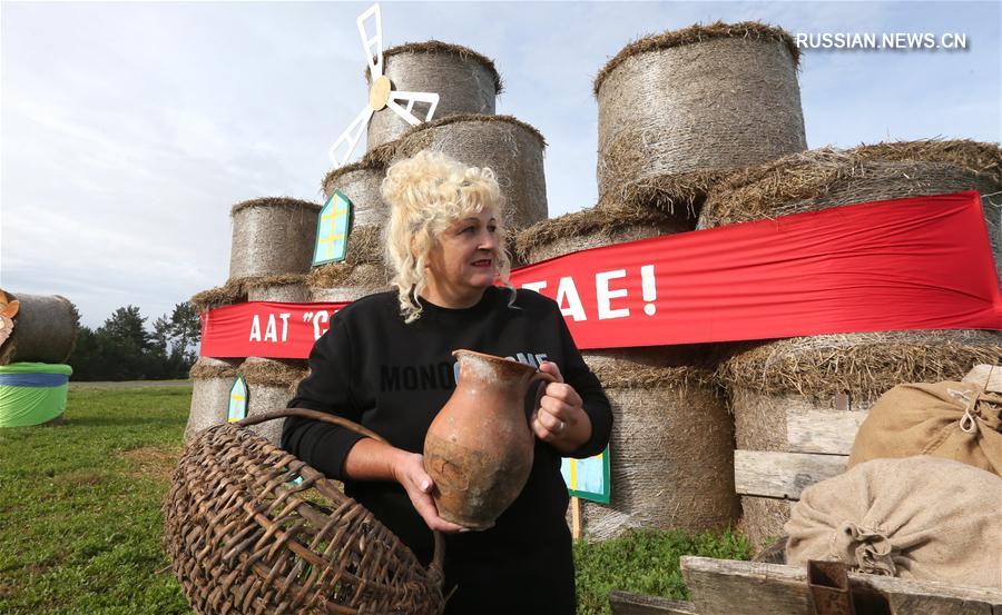 Композиции из соломы украсили дороги в Беларуси