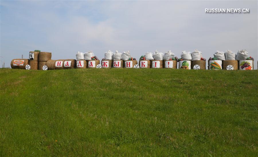 Композиции из соломы украсили дороги в Беларуси