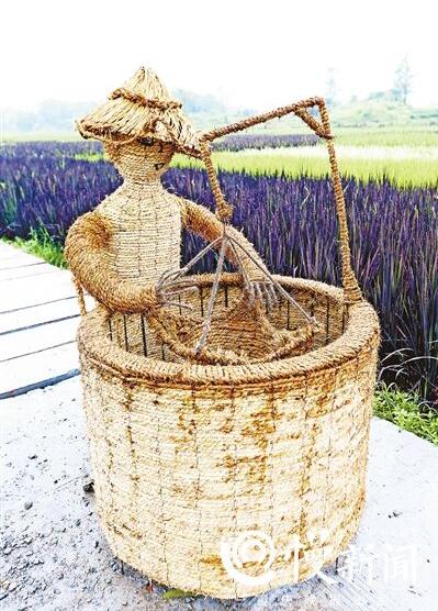 Разноцветные рисовые поля в Чунцине
