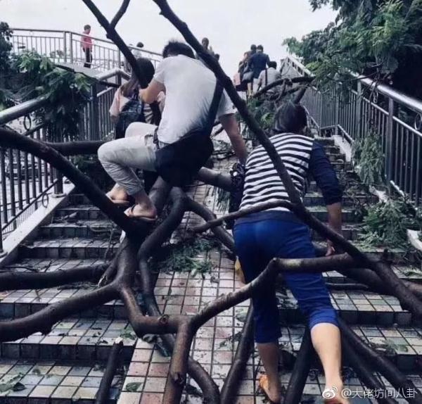 Как жители г. Шэньчжэнь идут на работу после тайфуна "Мангхут"