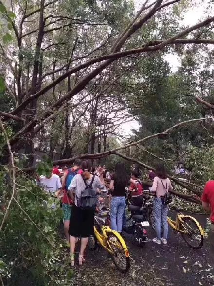 Как жители г. Шэньчжэнь идут на работу после тайфуна "Мангхут"