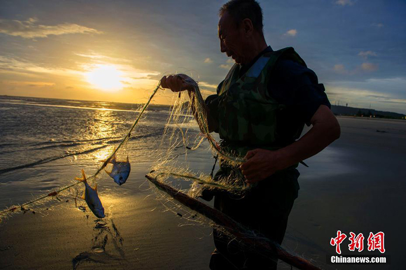 Рыбаки возобновили работу после тайфуна «Мангхут»