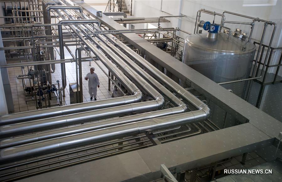 В Туркестане запустили совместный китайско-казахстанский завод по переработке верблюжьего и кобыльего молока