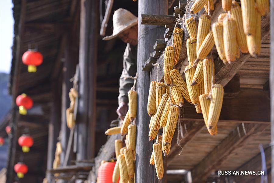 Крестьяне в провинции Фуцзянь сушат урожай различных сельскохозяйственных культур