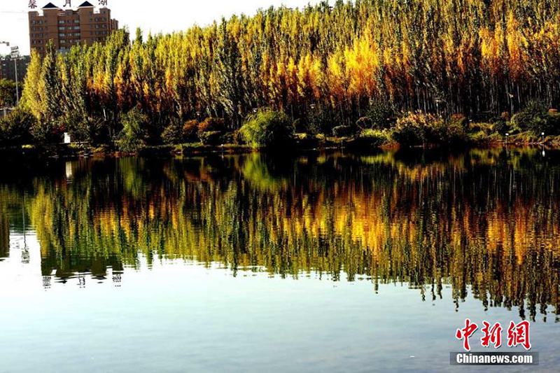 Сказочные осенние пейзажи в провинции Ганьсу