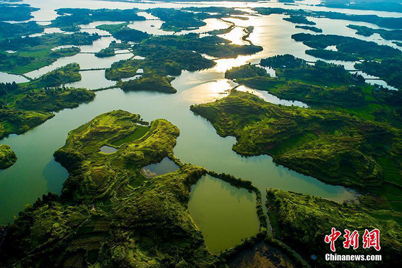Вид на национальный парк заболоченных земель Чунлин с высоты птичьего полета