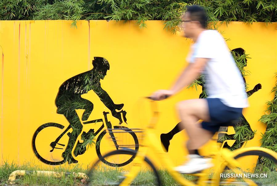 Смена колес -- От "царства велосипедов" к транспортной державе мирового уровня