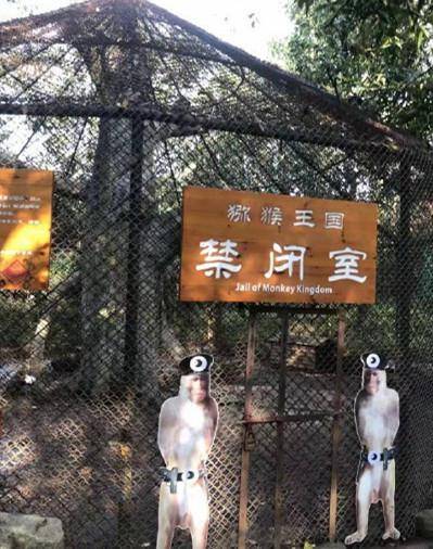 В китайском зоопарке обезьян-нарушителей порядка будут сажать под арест