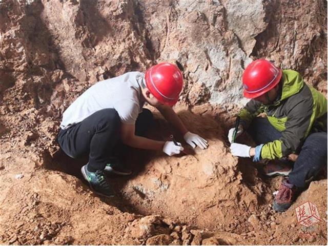 В  провинции Хубэй раскопали более 30 окаменевших яиц динозавров