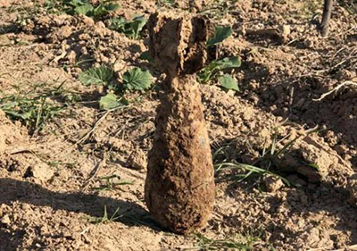 Старая невзорвавшаяся бомба была обнаружена в Сиане