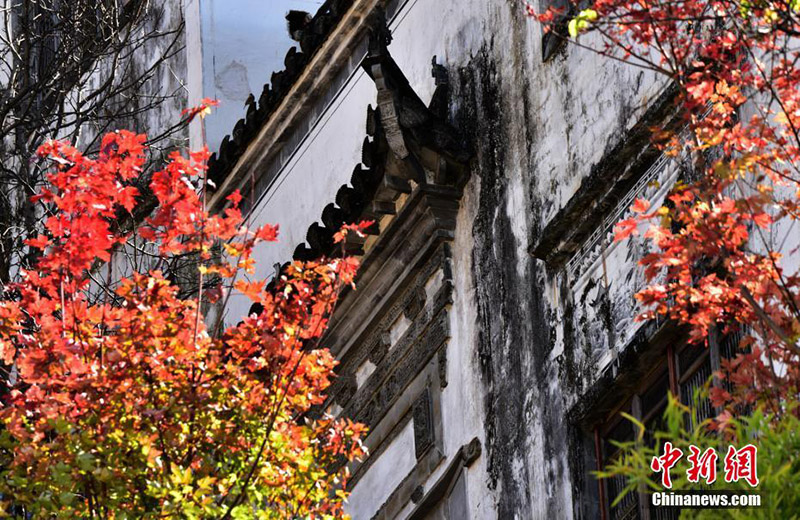 Осень в деревне Хуанлин провинции Цзянси